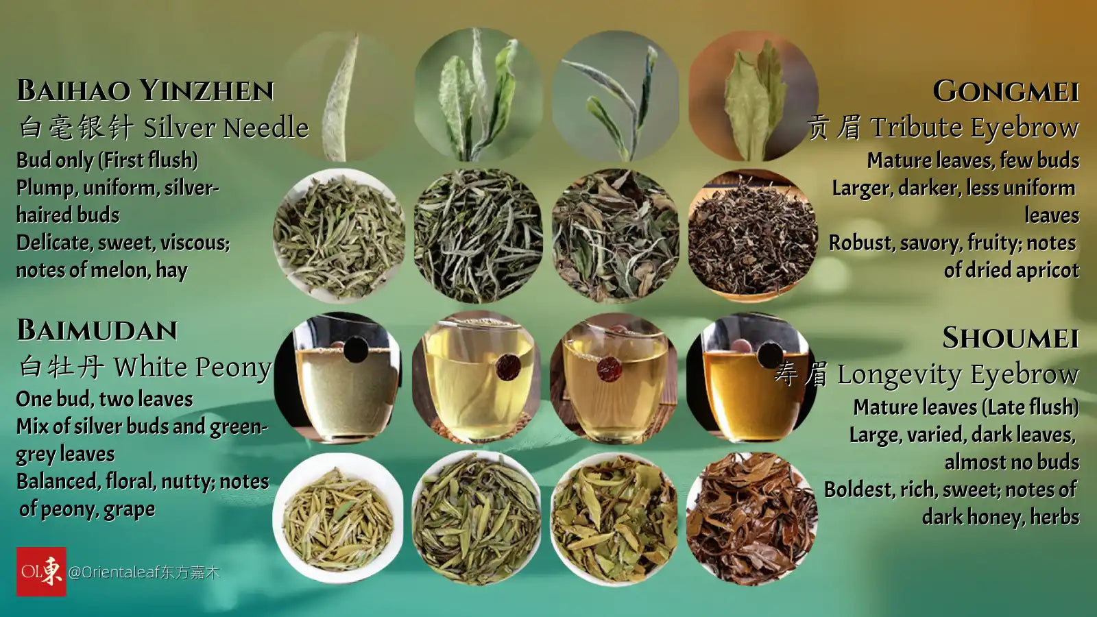 découvrez les atouts uniques de bud's bud, une marque innovante qui allie qualité et authenticité pour vous offrir le meilleur.