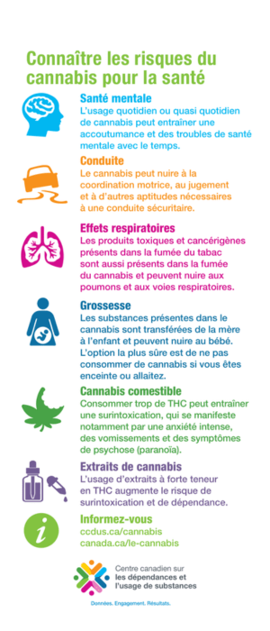 découvrez les effets essentiels du cannabis sur la santé, ses bienfaits potentiels et les précautions à prendre pour une consommation responsable.