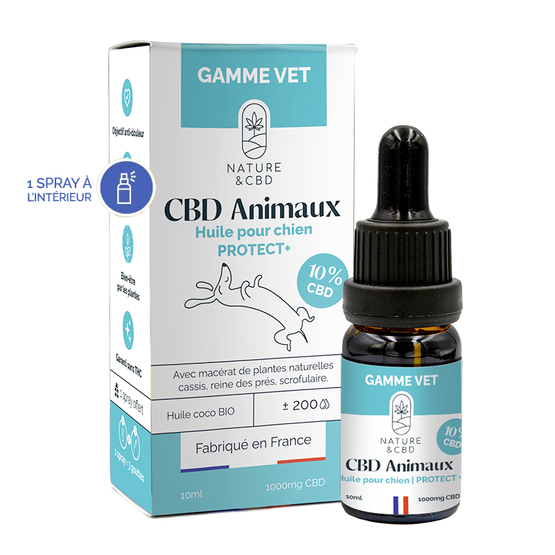 découvrez les bienfaits du cbd pour les chiens et les précautions essentielles à prendre pour assurer leur sécurité et leur bien-être.