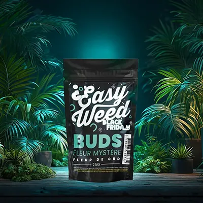 découvrez les raisons légales pour lesquelles le cbd est interdit dans certains pays, les régulations en vigueur et les implications juridiques à connaître.