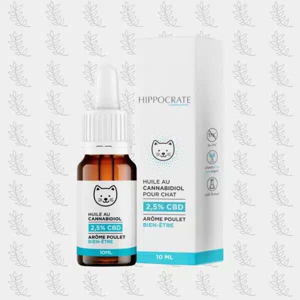 découvrez les bienfaits du cbd pour chat et nos conseils pour une utilisation sécurisée afin d'améliorer le bien-être de votre compagnon félin.