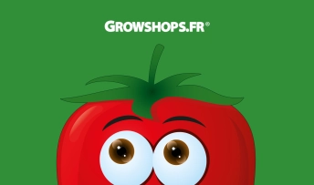 découvrez comment choisir le growshop adapté à vos besoins pour cultiver efficacement et en toute sécurité. conseils, astuces et critères essentiels pour un choix optimal.