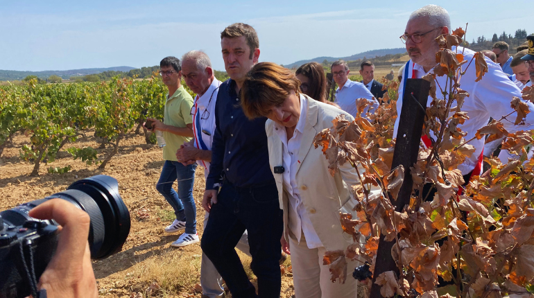 découvrez la culture du cbd dans l'aude, où des agriculteurs engagés mettent leur expertise au service d'une production responsable et de qualité.