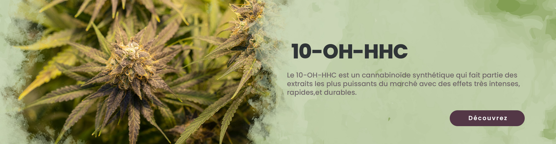 découvrez les effets du hhc, un cannabinoïde émergent aux propriétés uniques. informez-vous sur ses bienfaits, ses utilisations et ses éventuels risques.
