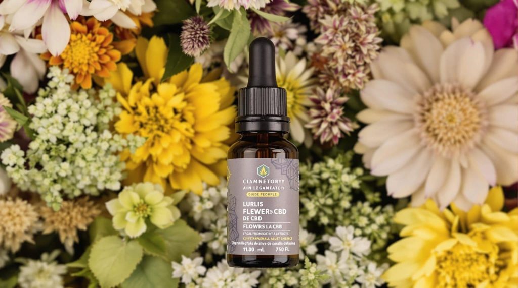 découvrez notre guide pratique complet sur les fleurs de cbd : utilisations, bienfaits, conseils d'achat et modes de consommation pour profiter pleinement de cette plante naturelle.