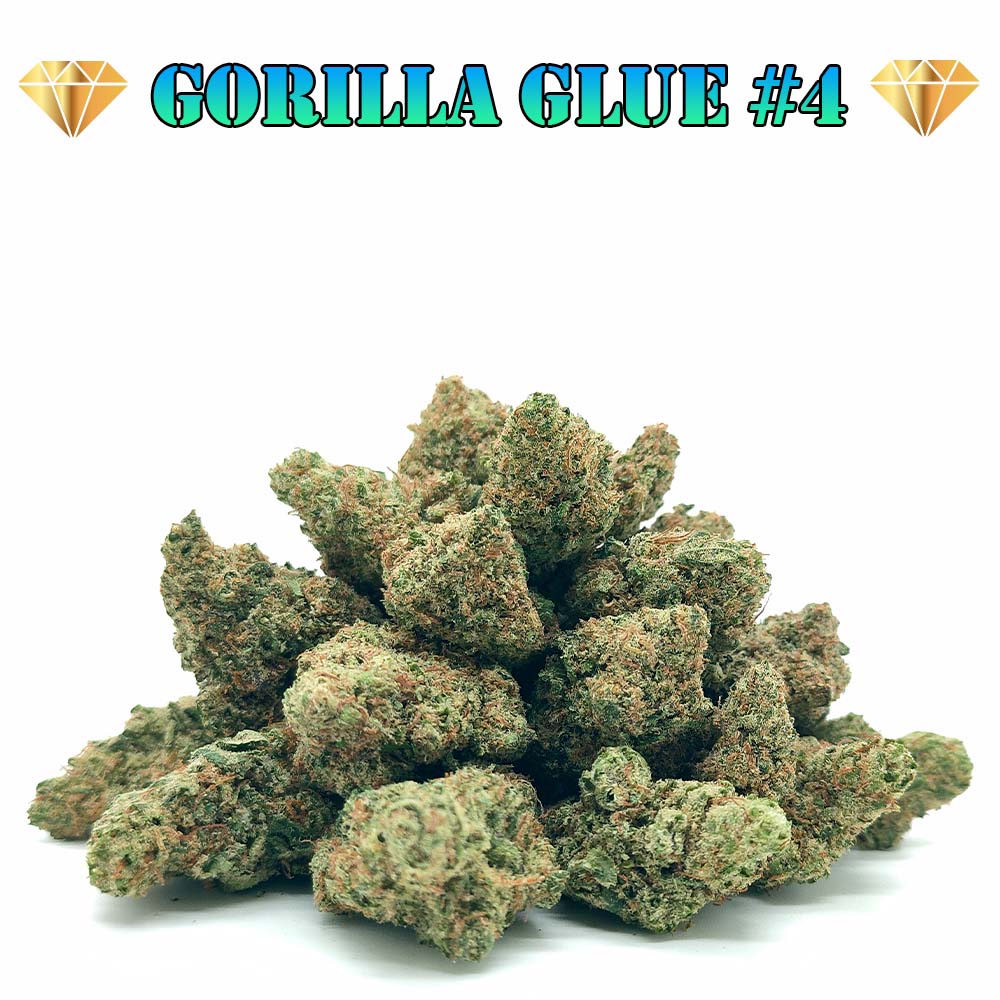 découvrez nos offres exclusives cbd black friday avec des réductions exceptionnelles sur une sélection de produits cbd de qualité. profitez vite de ces promotions limitées !