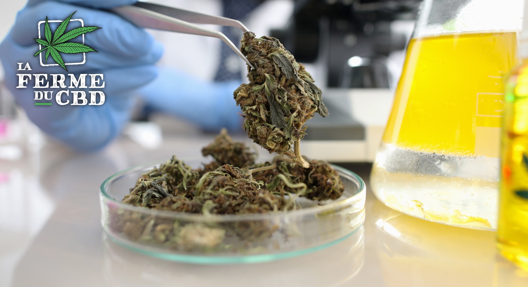 découvrez les risques liés aux molécules de synthèse dans le cbd et leurs effets potentiels sur la santé. informez-vous pour faire un choix éclairé.