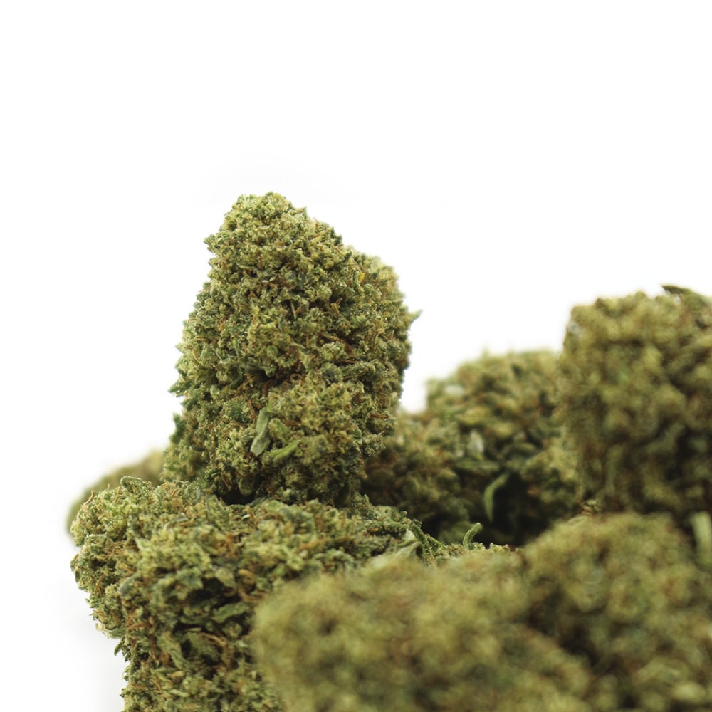 découvrez strawberry kush, une variété aux saveurs fruitées uniques et aux bienfaits relaxants. parfaite pour une expérience douce et apaisante.