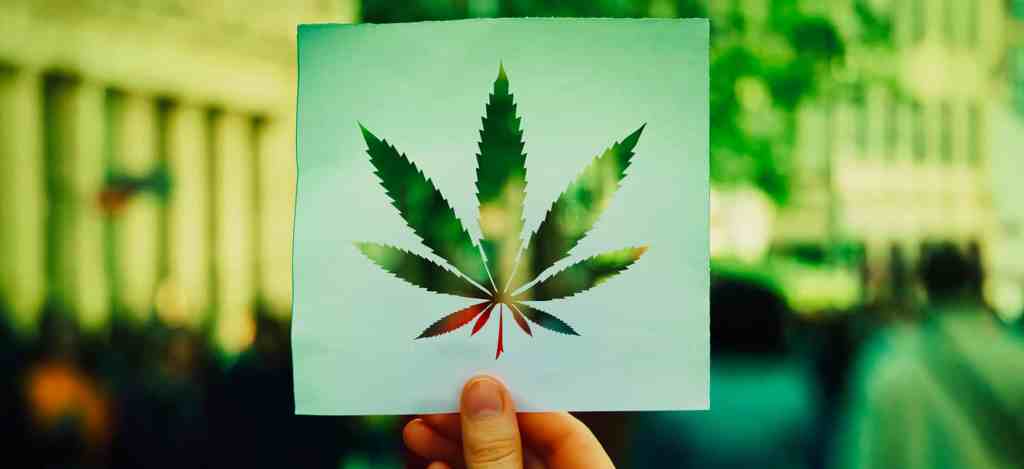 découvrez la définition du thc, ses effets et ses différents usages médicaux et récréatifs.