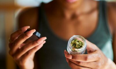 découvrez les recherches actuelles sur le cannabis et son potentiel rôle dans la protection contre la covid-19, ainsi que les précautions à prendre.