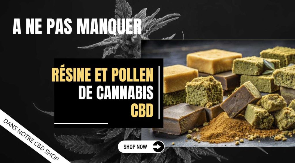 découvrez notre guide complet sur le cbd à genève, incluant conseils pratiques, informations légales et recommandations pour bien choisir vos produits.