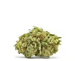 découvrez notre guide pratique pour la livraison de cbd de l'espagne vers la france, avec conseils, réglementation et astuces pour un envoi légal et sécurisé.