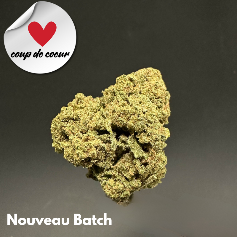 découvrez les prévisions et tendances du prix du cbd en 2025 pour mieux planifier vos achats et investissements.