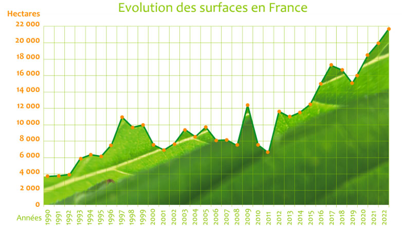 découvrez le profil type et les principales motivations des consommateurs de cbd en france, une analyse complète des tendances et comportements d'achat.