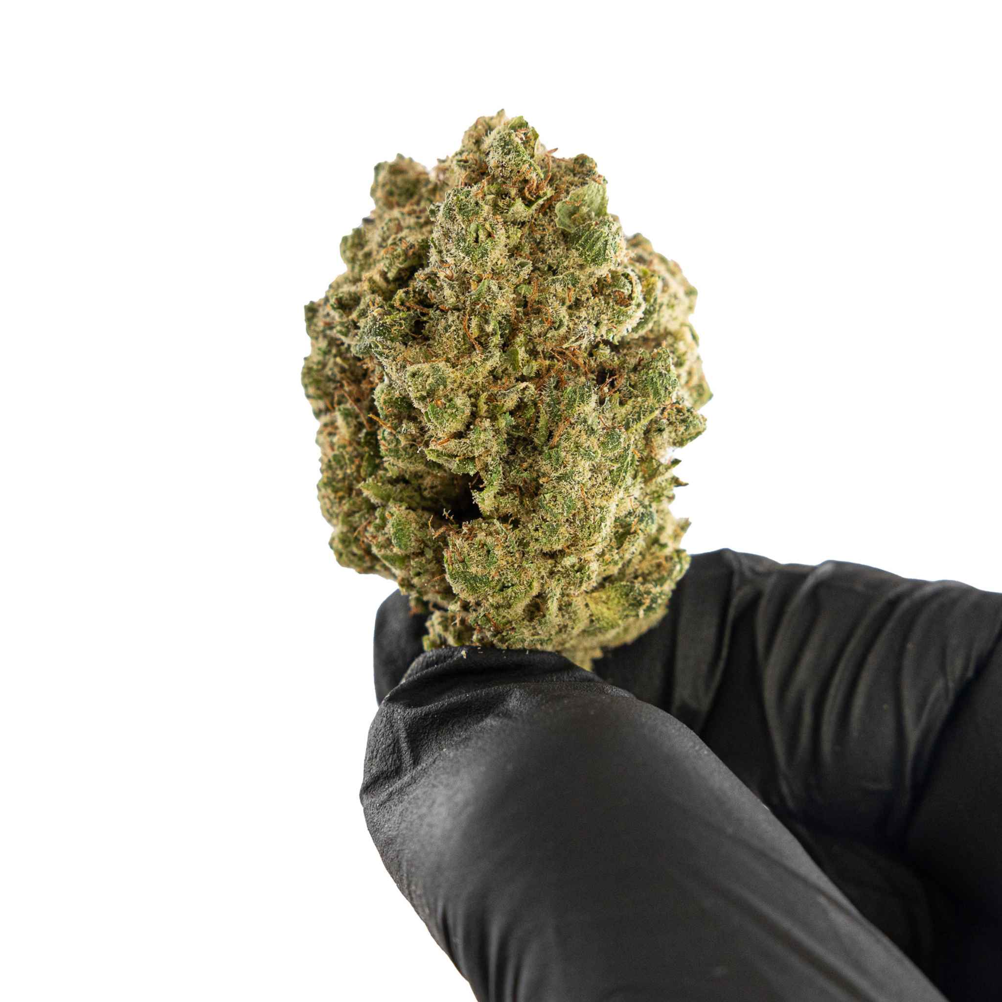 découvrez les bienfaits du rainbow cbd, un produit naturel qui favorise la détente, le bien-être et améliore votre qualité de vie grâce à ses propriétés apaisantes et anti-stress.