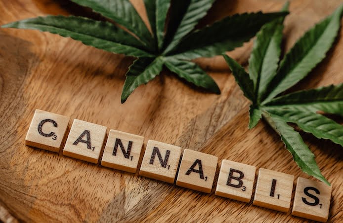 découvrez comment le brésil se positionne comme futur leader mondial du cannabis médical grâce à ses avancées scientifiques et à un cadre réglementaire en pleine évolution.