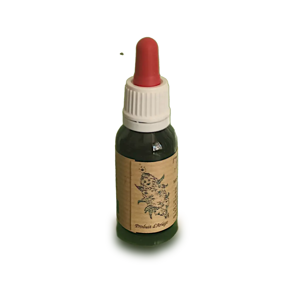 découvrez le cbd bio grand format, la référence incontournable à montpellier pour des produits naturels et de qualité supérieure.