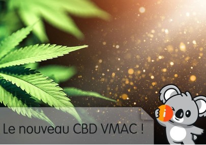 découvrez la métamorphose spectaculaire du cbd en seulement 5 ans, ses évolutions majeures, et son impact croissant dans le bien-être et la santé.