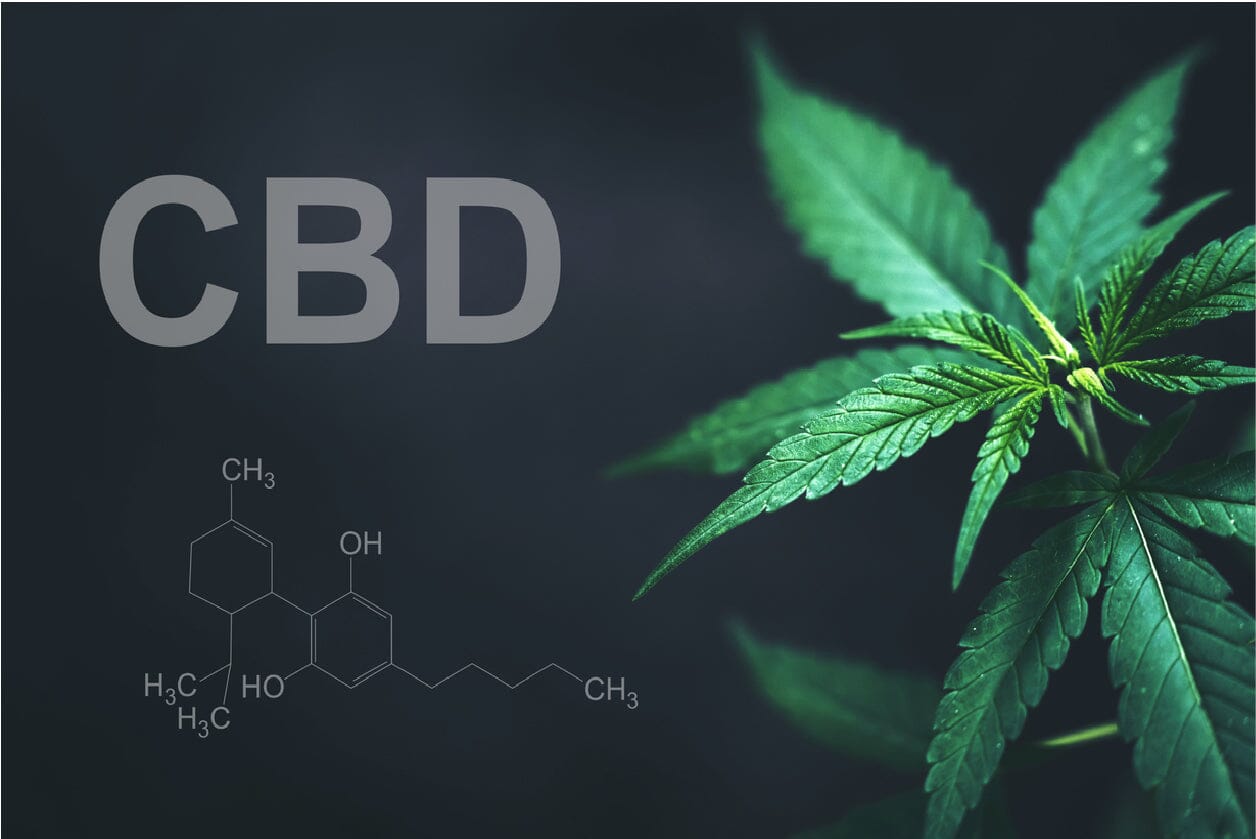 découvrez un modèle innovant qui analyse les effets du cbd en fonction de la dose et du contexte d'utilisation, pour une expérience personnalisée et optimisée.