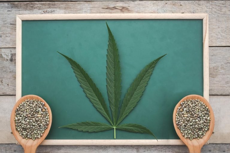 découvrez l'encadrement du cbd en france : réglementations, usages légaux et conseils pour consommer en toute sécurité.