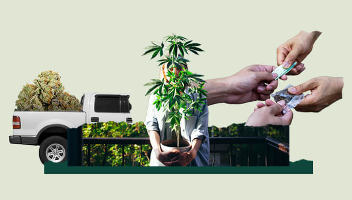 en espagne, la vente de cbd est désormais interdite dans les estancos. découvrez les nouvelles réglementations et leurs impacts sur le marché du cannabidiol.