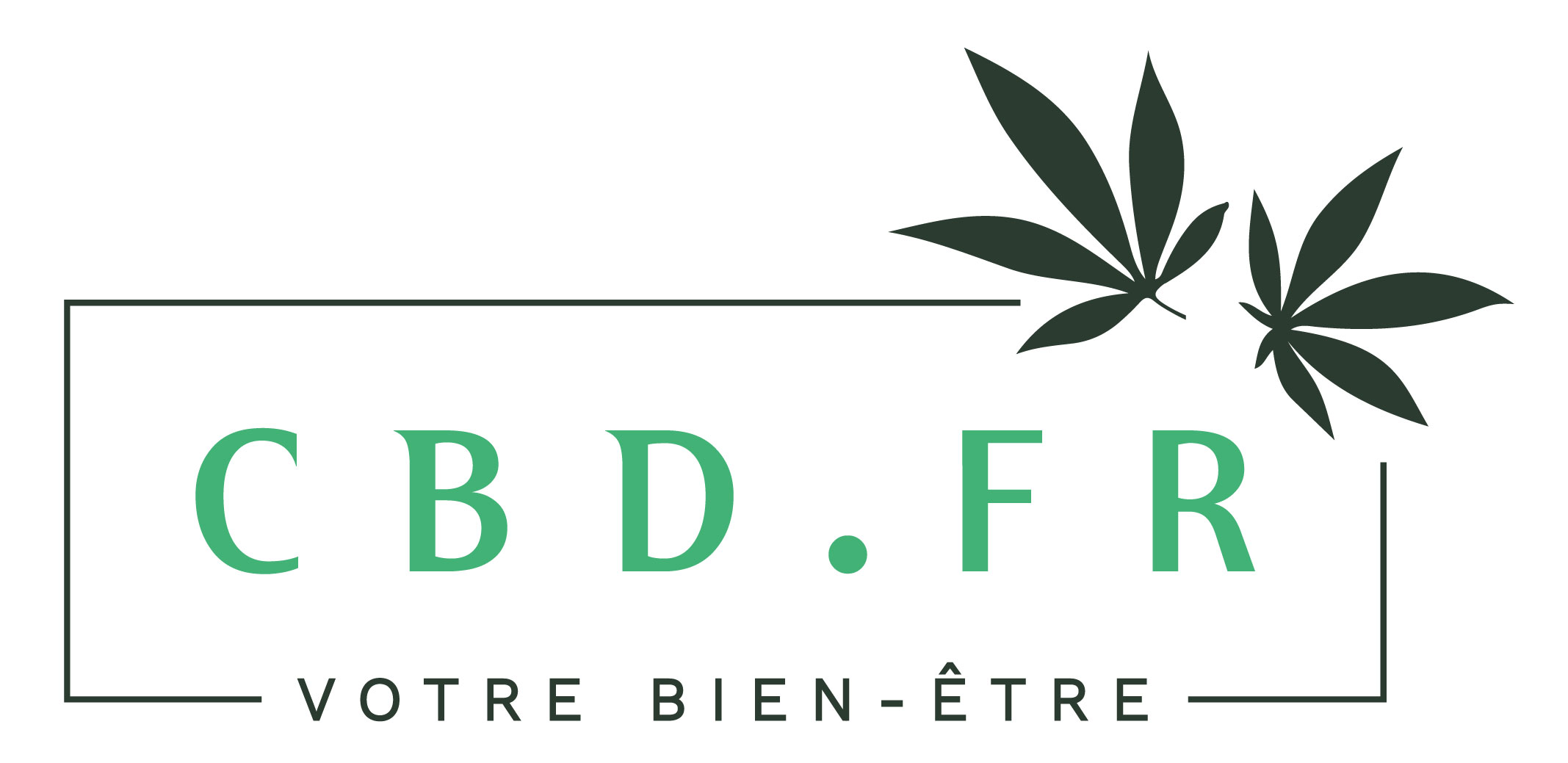 découvrez l'histoire inspirante de frères normands ambitieux qui cultivent 15 000 à 20 000 pieds de cbd, alliant passion et savoir-faire pour produire une récolte de qualité.
