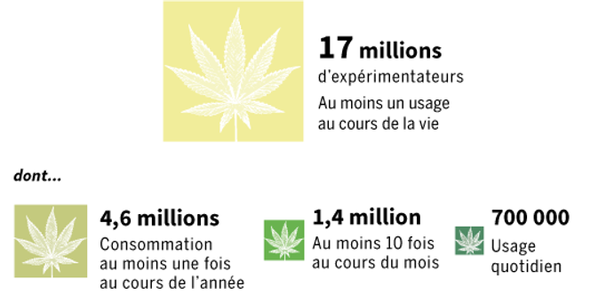 le cannabis chez les adolescents augmente considérablement le risque de développer des troubles sévères. informez-vous sur les dangers et les précautions à prendre.