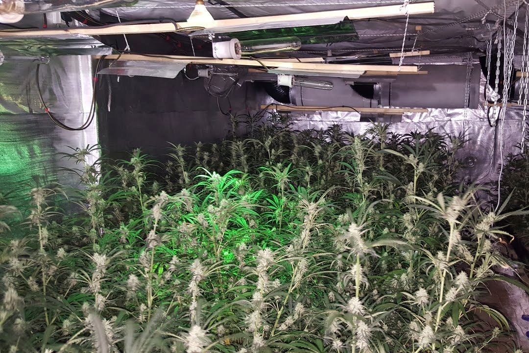 découvrez les enseignements tirés de la fin du cannabis tour à lons-le-saunier, une analyse des impacts et des perspectives locales.