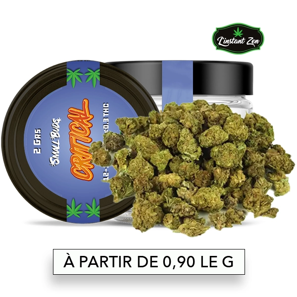 découvrez nos astuces pour dépenser moins en achetant des small buds cbd de qualité sans compromis sur l'efficacité et le goût.