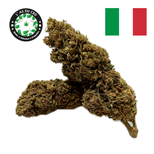 découvrez strawberry kush, une variété incontournable reconnue pour ses arômes intenses de fraise et ses effets relaxants uniques.